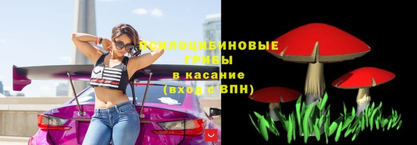 сатива Вязники