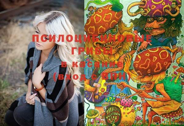 сатива Вязники